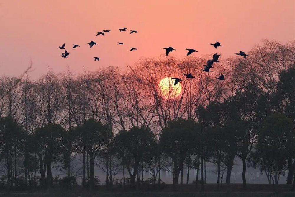 土耳其首名宇航员飞往国际空间站,“太空梦”又进一步?